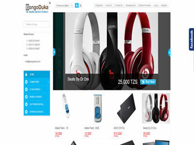 坦桑尼亚电子商务网站 电子产品与软件市场的机遇与挑战